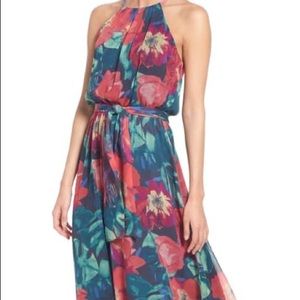 Paradise Poppies' Print Maxi Dress